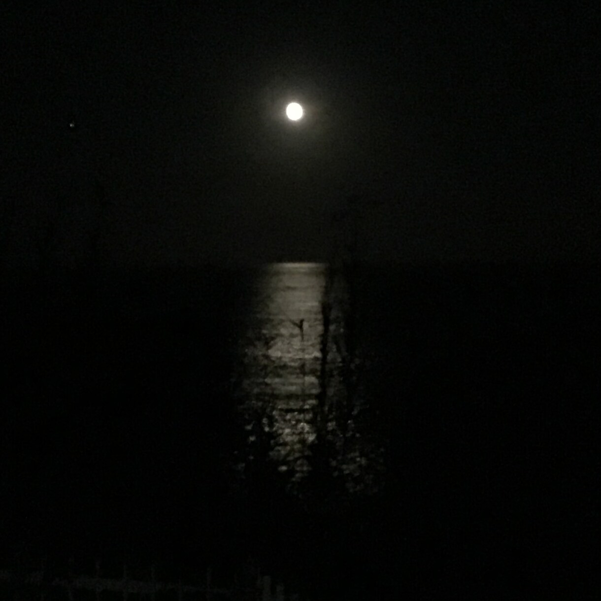 モヤモヤを一緒に晴らします 気持ちや思い・心の叫びに寄り添います。 イメージ1