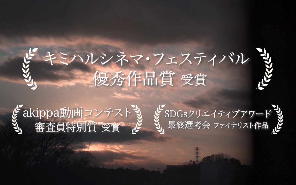 PROがハイクオリティなPR動画・広告制作をします 優秀賞等、数々の動画作品が受賞、数千万の広告費削減の実績 イメージ1