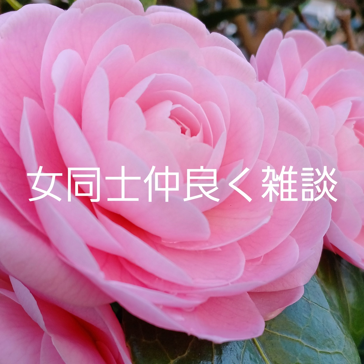 女の事は女にしか解らないってしってます 女同士の女だけのお悩み相談部屋どうぞ、いらっしゃいませ。 イメージ1