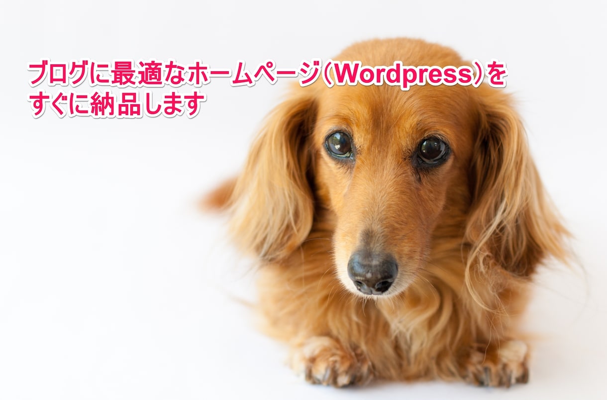 今だけ！ブログに最適なホームページを格安構築します 独自ドメインでブログを始めたいという方におすすめします イメージ1