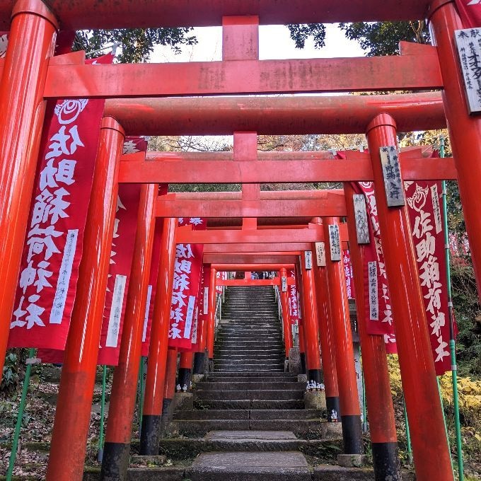 貴方のどうしても叶えたいお望み叶えます 恋愛・人間関係・理想の未来など、どんな願望でも構いません⛩️ イメージ1