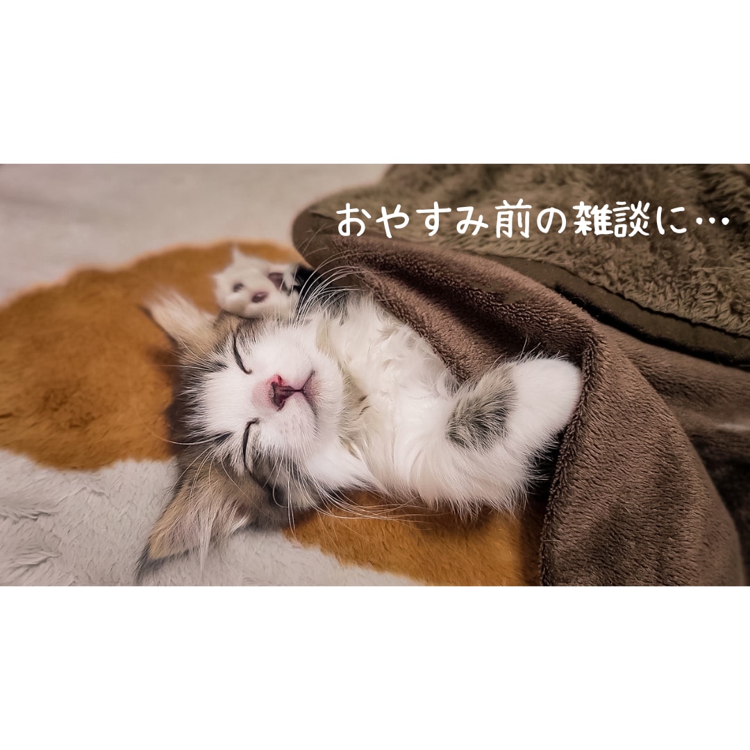 雑談せぇへん？♡関西弁OLがお話し相手になります 自慢の推し、ハマってるアニメ、恋バナなど何でもどなたでも♡ イメージ2