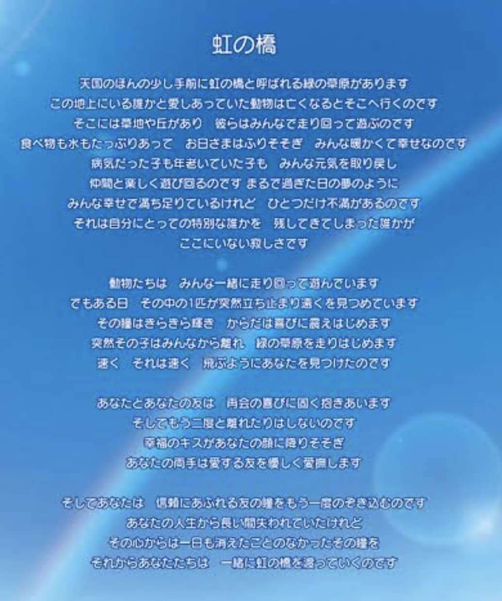 ペットロスカウンセリング承ります ペットロスのつらいお気持ちを癒す、助けになれれば幸いです イメージ1