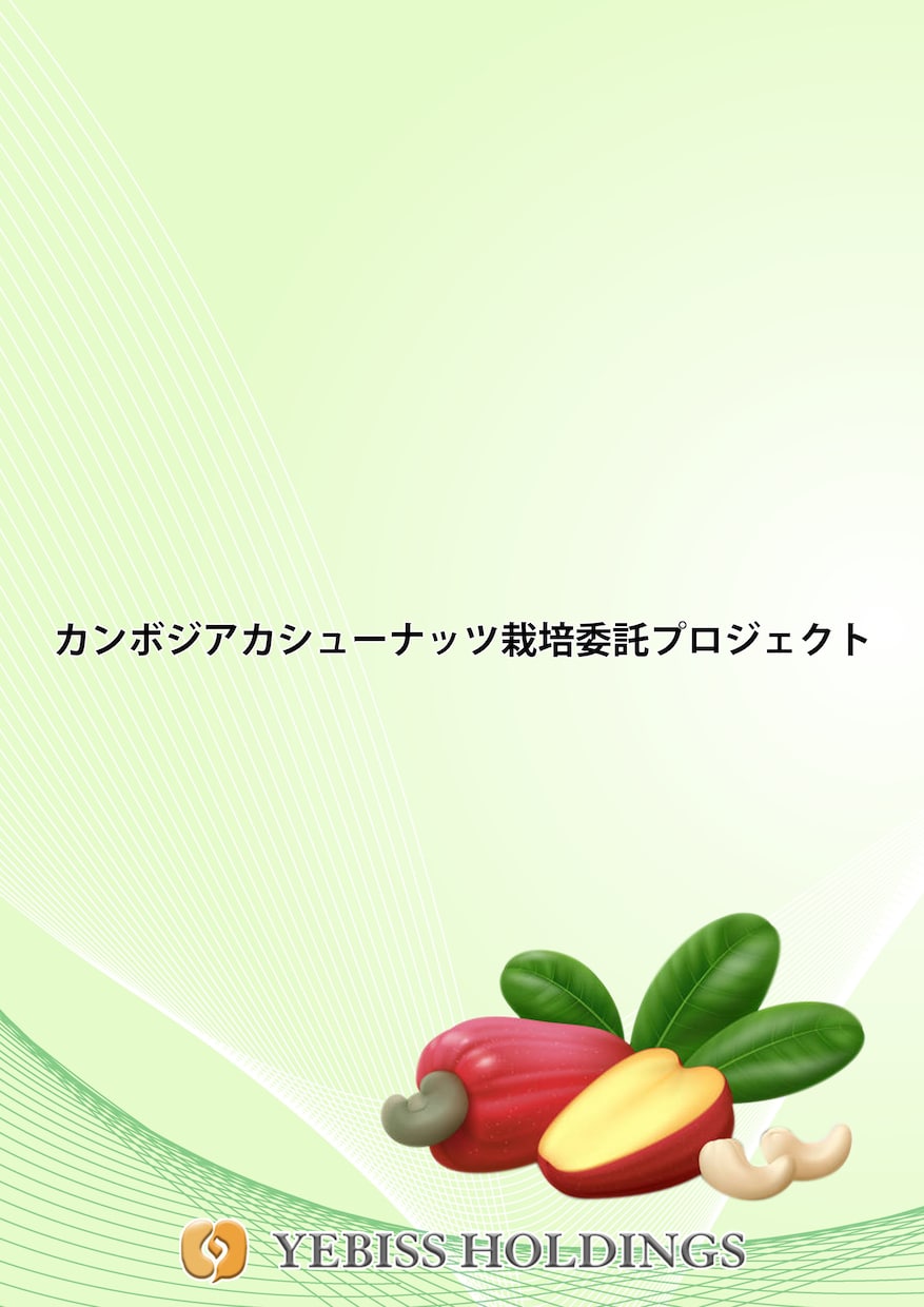 魅力を伝えるパンフレットデザイン承ります 会社学校イベントに最適!わかりやすく魅力を引き出すのデザイン イメージ4