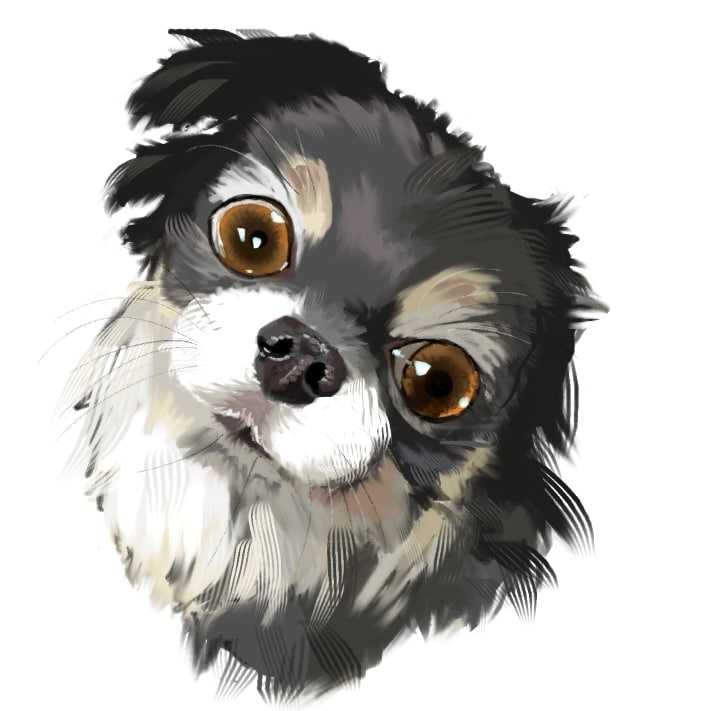 リアル＆可愛い♡愛犬デフォルメ絵を描きます リアルさと可愛らしさを両立させたデフォルメに仕上げます イメージ2