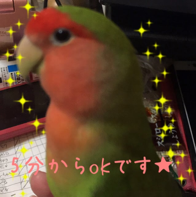 5分からOKフリートークします ちょっと人と話したい。なんか暇。どんなお話しでもOK5分～ イメージ2
