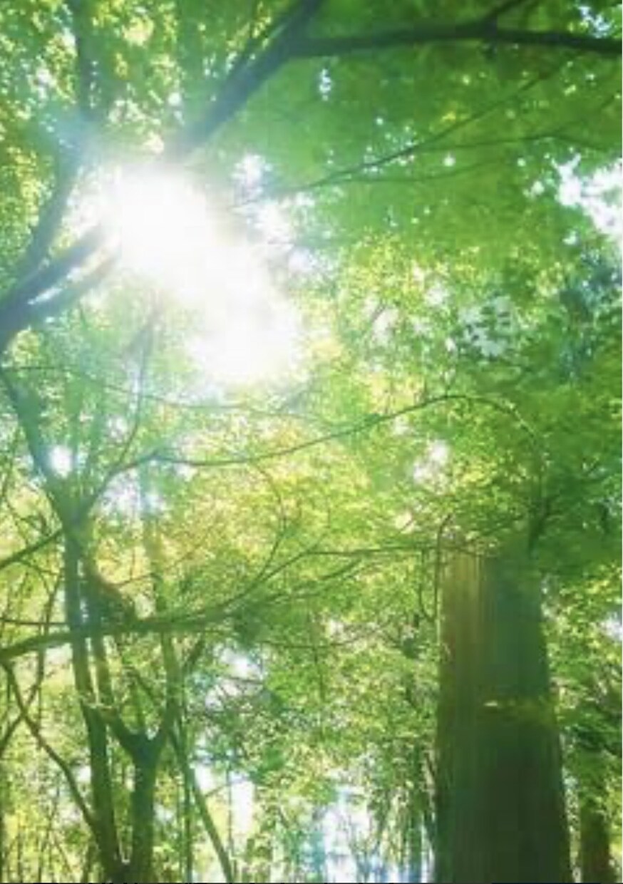 何でも聞きます、何の話相手でもします 何でも聞きます！！愚痴でも相談でも^ ^ イメージ1