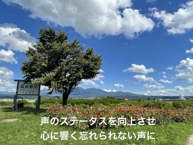 声の持つ特性から恋愛や対人関係の悩み判断します 声色から恋愛や対人関係を読み、補正し声の持つ力を高めます❗️ イメージ3