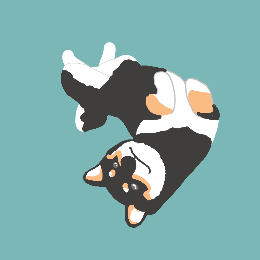 光の差し込むイラスト描きます あなたの可愛いペットの寝ている姿をイラスト化、光の差し込む絵 イメージ2