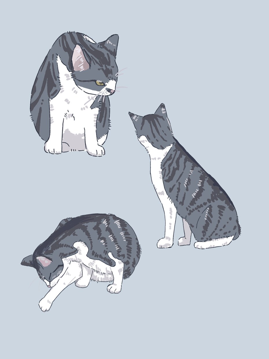 ペットの写真をイラストにします 写真のそのままでも可愛いけれど、絵におこしてみませんか？ イメージ2