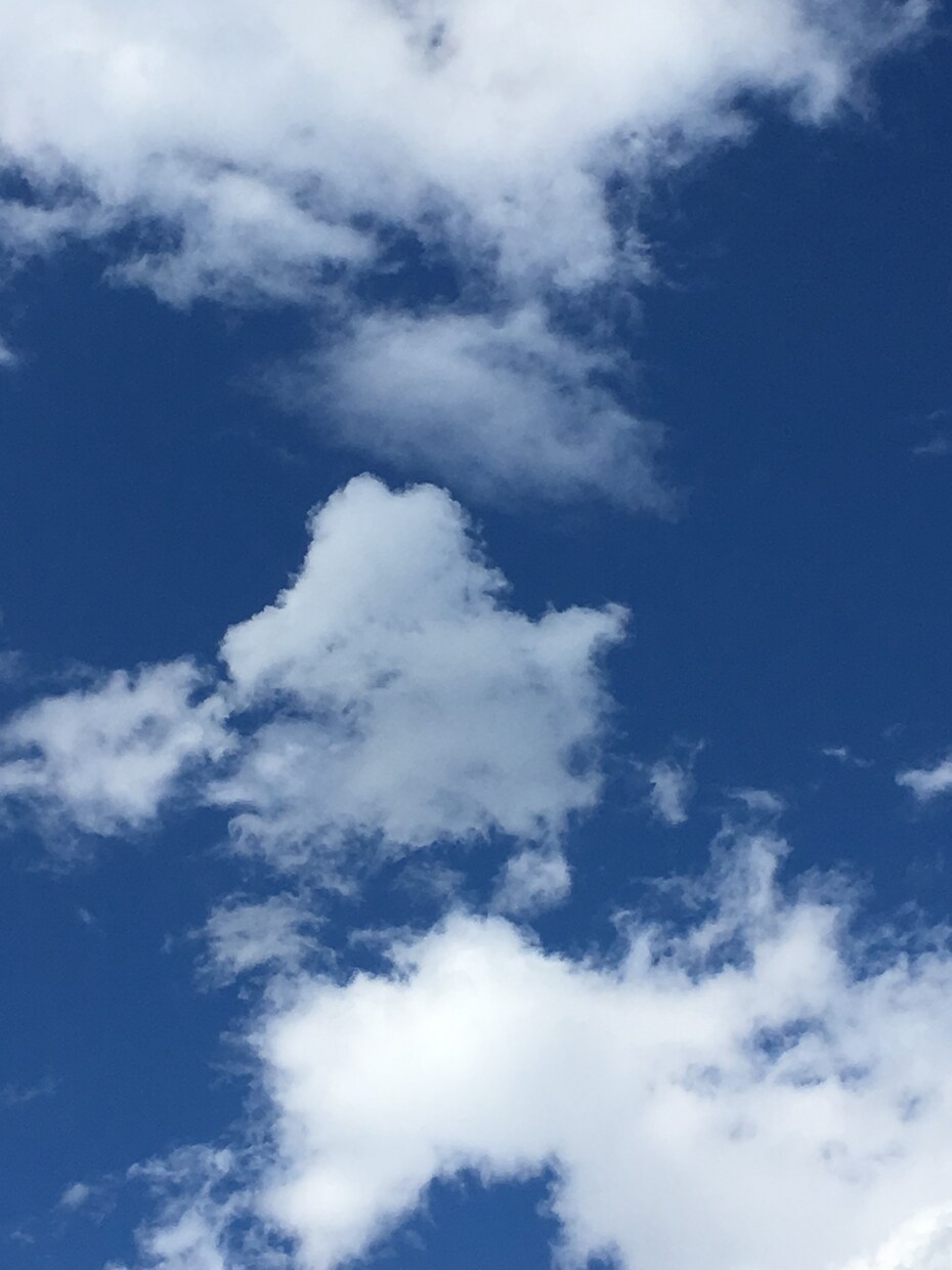 さくっと鑑定❤︎タロット❤︎２択のお悩み解決します どっちにしよう？散々考えたけど答えが出ないお悩みに イメージ2