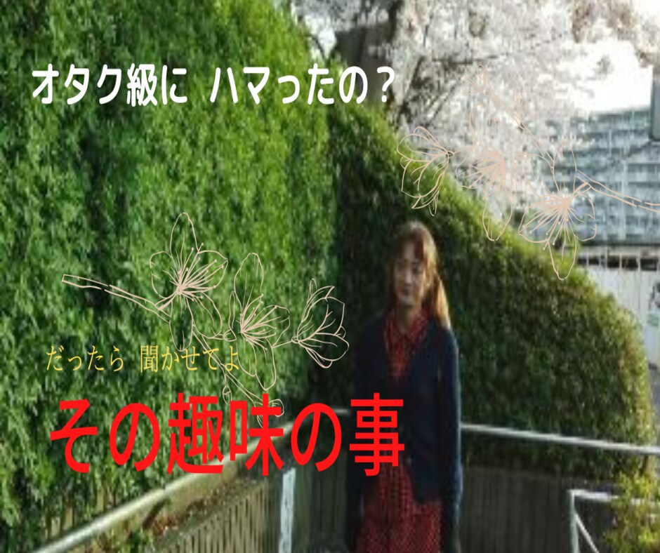 何処までハマったの？　趣味の事　とことん聞きます アイドルやロリータ衣装が好きな私が聞きたい　何が好き？ イメージ5