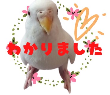 ペットの写真をかわいいラインスタンプにします ペットのオリジナルラインスタンプを低価格でお作りします イメージ6