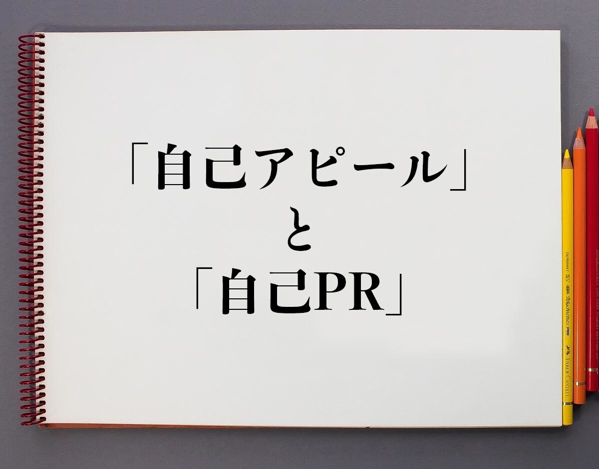 自己PR作成/0から自己PRを作成します 面談を実施させていただき自己PRを作成、納品させて頂きます イメージ1