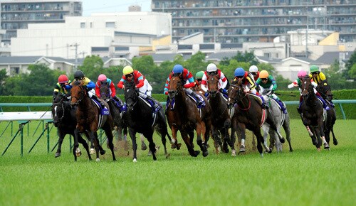 超簡単【初心者向け】競馬の必勝法を教えます 競馬初心者や始め方が分からない方へ☆★ イメージ1