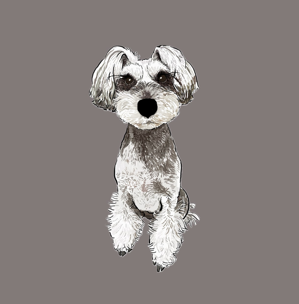 ミニチュアシュナウザーの似顔絵を描きます ミニシュナと暮らす犬絵師が、写真から似顔絵を描きます イメージ6