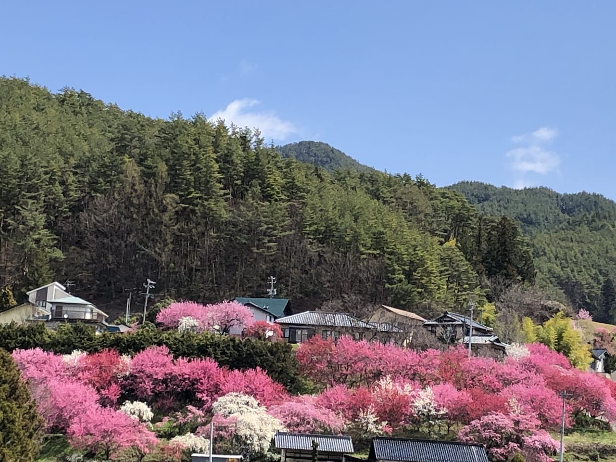 誰にも言えないお悩み、愚痴、なんでも聞きます 癒しの京ことばであなたのお悩みに寄り添います♡ イメージ3