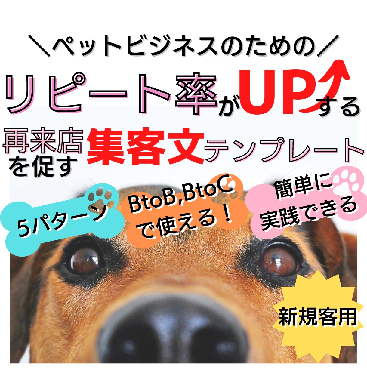 新規客のリピート率をUPさせるDM文章を販売します ペットビジネスの集客にお悩みの方へ！再来店を促して定着率UP イメージ1