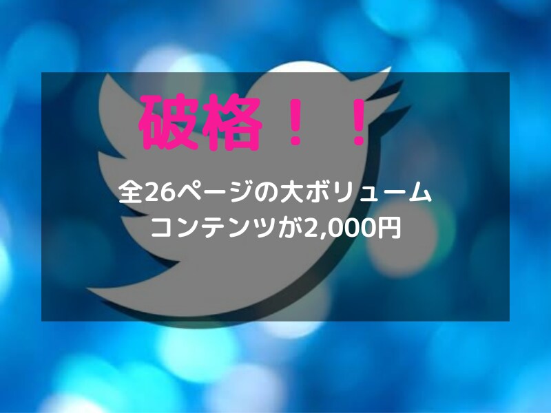 魅力的なツイート作成コンテンツを提供します １ツイートで３０００フォロワーを獲得した方法を伝授します イメージ7