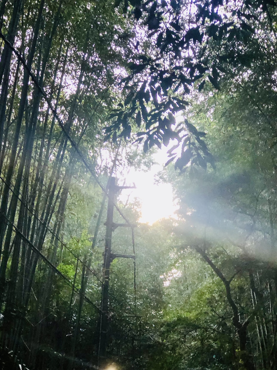 風景の素材や映像を撮影します 撮影内容については詳細を相談できます。 イメージ1