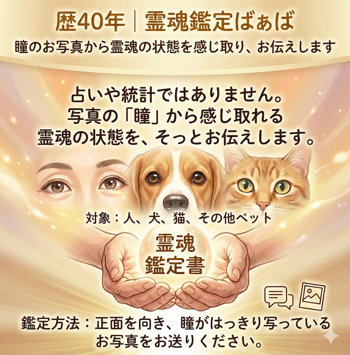 写真から目を見て人やペット霊魂を鑑定いたします 霊魂鑑定は人の魂のもつ特質や本性を読み解くための鑑定です。 イメージ1
