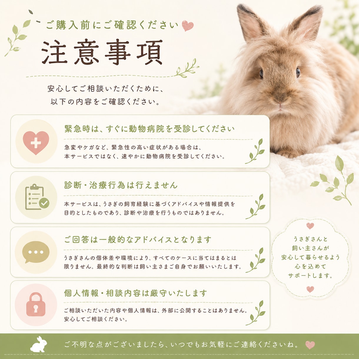食欲・ケア・性格等、うさぎ飼育のお悩み相談受けます 初心者さんから、長年一緒に暮らす方まで、丁寧に相談受けます イメージ5