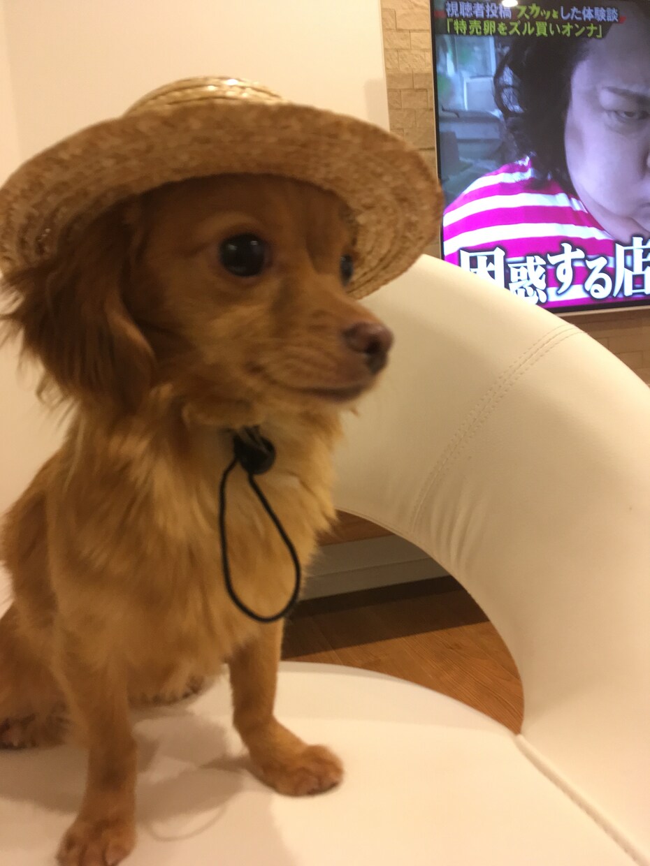 仕事を探してる方リストラで困ってる方相談のります 真剣に相談にのりますのでどしどし待ってます イメージ1