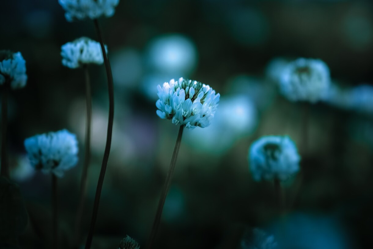 ビジネスタロットをします ビジネスタロットで人生の花を咲かせましょう！ イメージ3