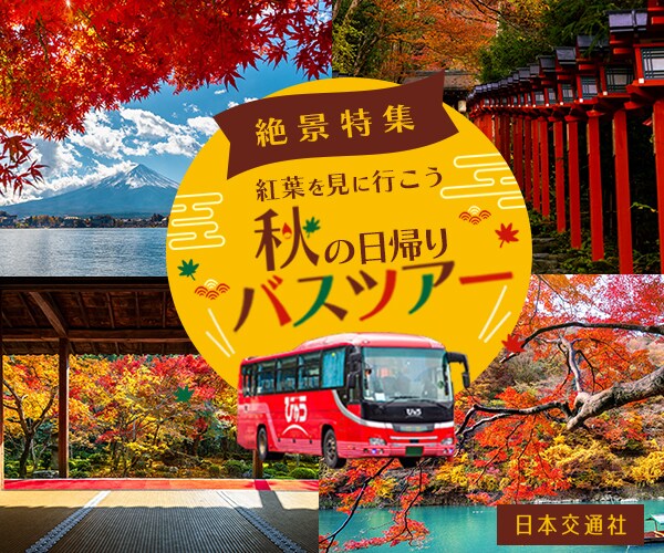 ぱっと目につくバナーを制作いたします 高品質なWEB画像！あなたのビジネスに貢献します イメージ5