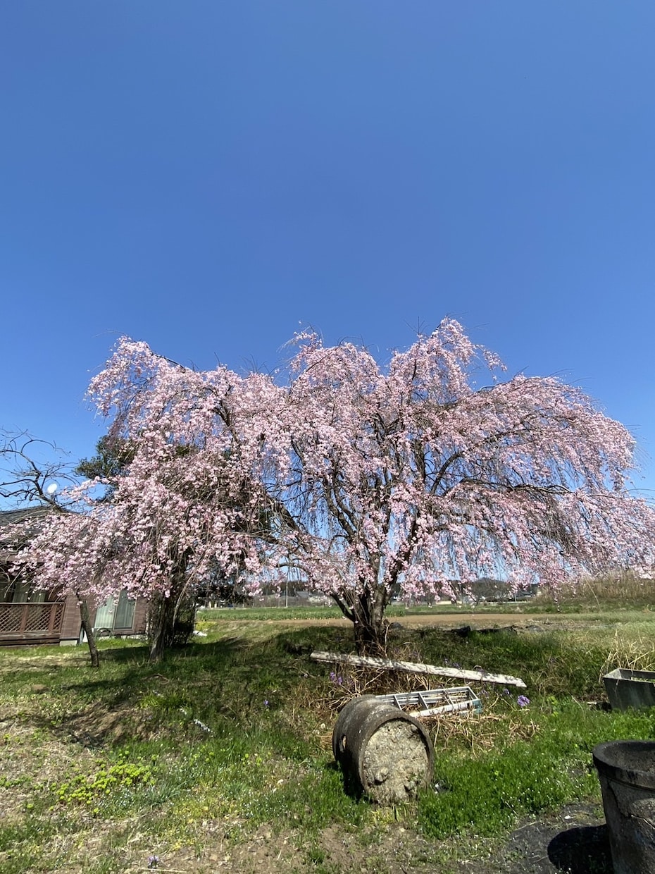 自宅療養　入院闘病生活♡(内緒　心の声)を聴きます 入院経験者とお話し♡不安　孤独　病気　怪我痛み　医療介護保険 イメージ9