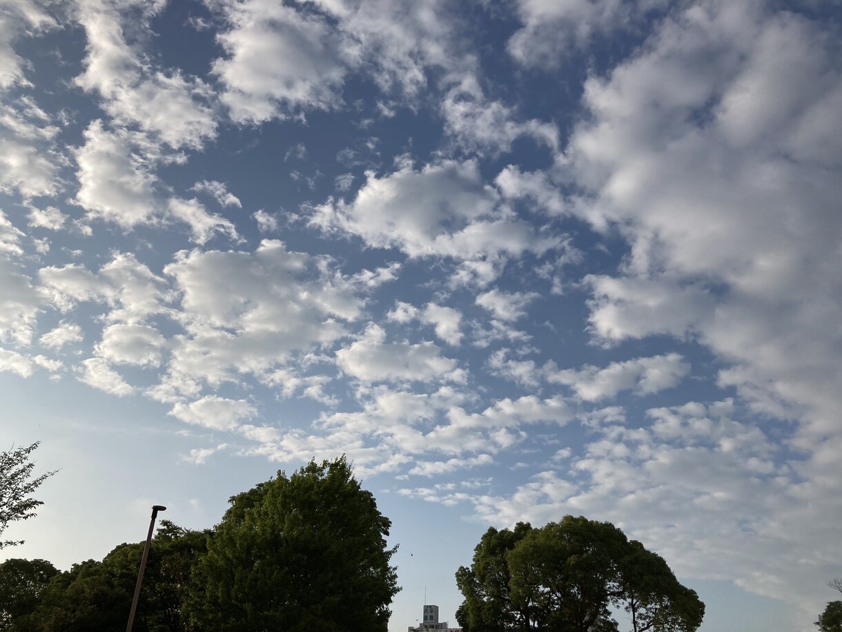 愚痴、相談、雑談なんでもʕ•ᴥ•ʔお話ききます 誰かとお話したいけど相手がいない…私とお話しませんか？ イメージ1