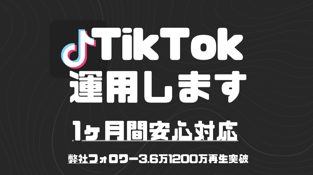 本気のTikTokアカウント運用1ヶ月行います 【安心の24時間対応可能】バズるTikTok運用！ イメージ1
