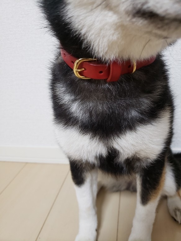 本革ペット用首輪の作成ができます 高級感がありオシャレに見えること間違いなしです！ イメージ3