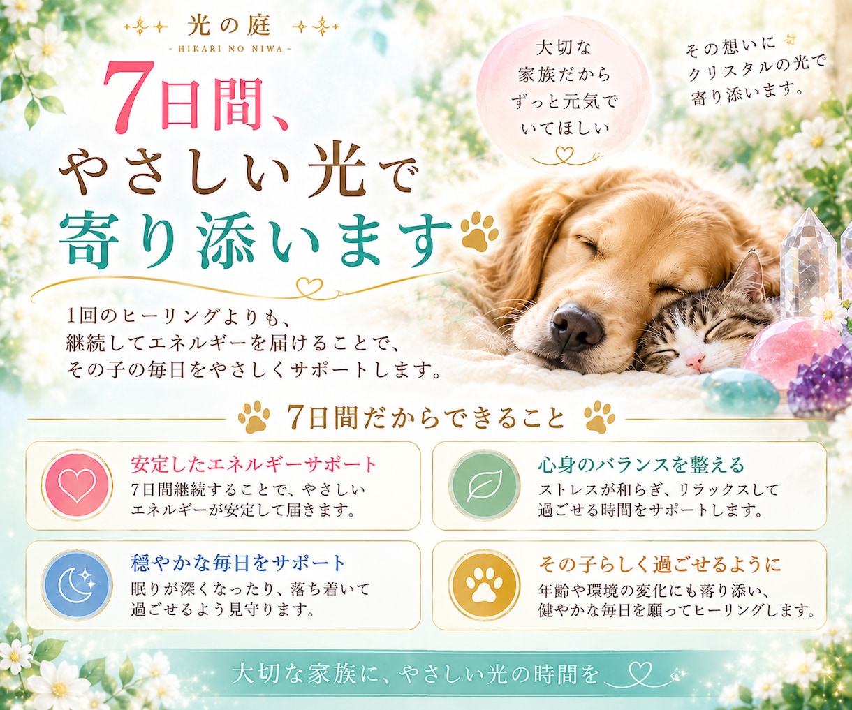 大切なペットを7日間クリスタルの光で癒します その子に合わせたクリスタルを選び、7日間やさしく寄り添います イメージ2