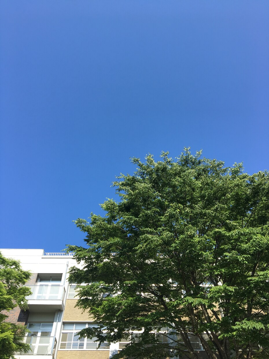 内定を獲得した理系大学院生が就活アドバイスします ！ES添削受付中！悩み相談受付中！ イメージ1