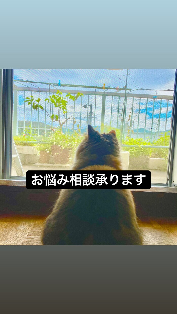 男子高校生が相談承ります あなたのお悩みお聞かせください！ イメージ1