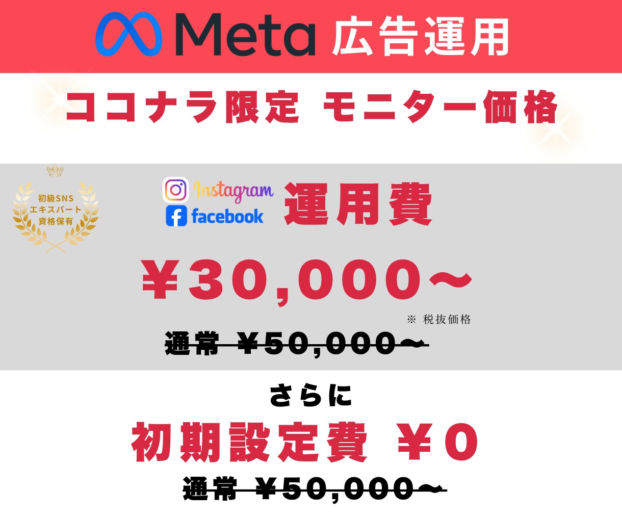 初めてでも安心のMeta広告運用代行します 小予算でCPA改善！SNS集客を丸ごと代行します！ イメージ1