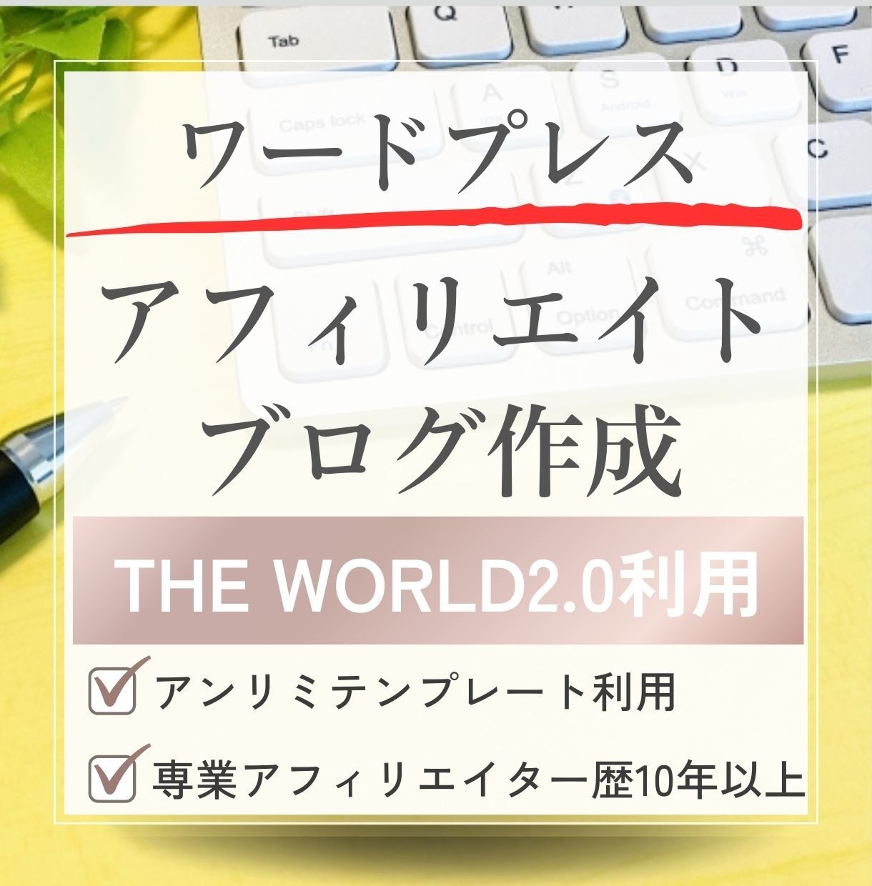 ワードプレスでアフィリエイトブログを作成したします アンリミテンプレートを使ったSEO対策済のブログを作成します イメージ1