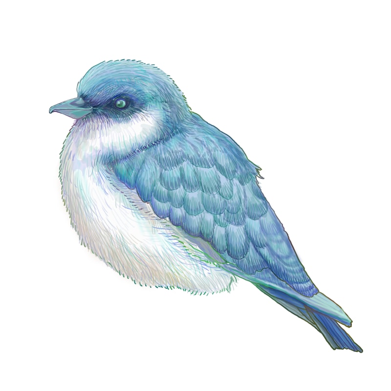 リアルなタッチでペットや動物のイラスト描きます 大切な可愛いペットの魅力をたっぷり表現します！ イメージ4