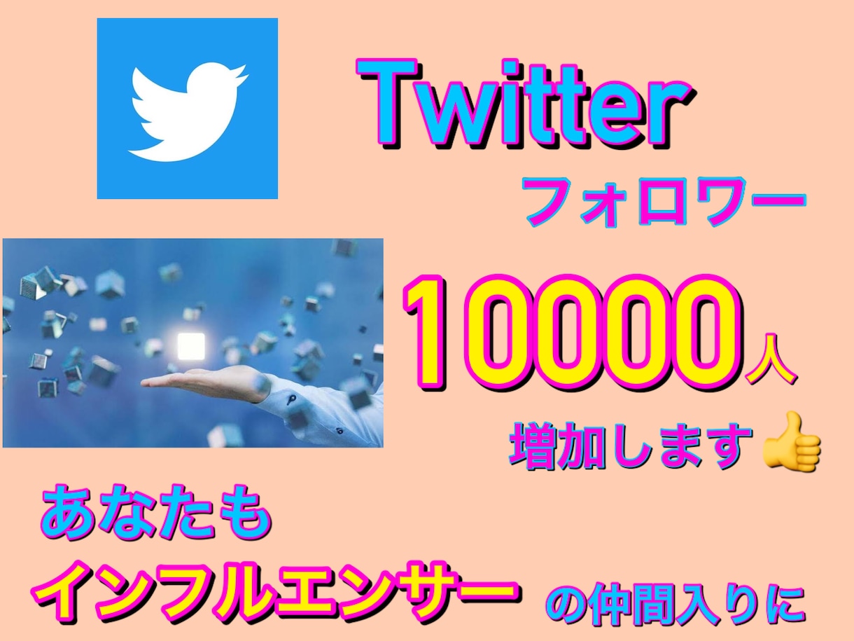 究極！Twitterフォロワー増加１万人増加します 気取りたい方や副業の目的の方必見サービスです。 イメージ2