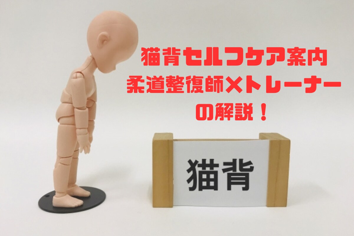 猫背・巻き肩の姿勢改善をサポートします 肩の詰まりやコリ・姿勢崩れを整えたい方へ イメージ1