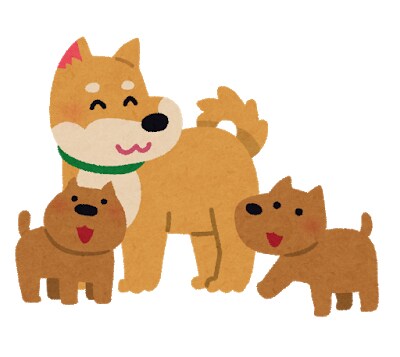 仔犬のしつけ相談承ります 飼い始めに起こる様々なトラブル解決します イメージ1