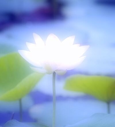 お悩み、相談お聞きします 言霊(お話することで)　邪気邪念を祓います イメージ1