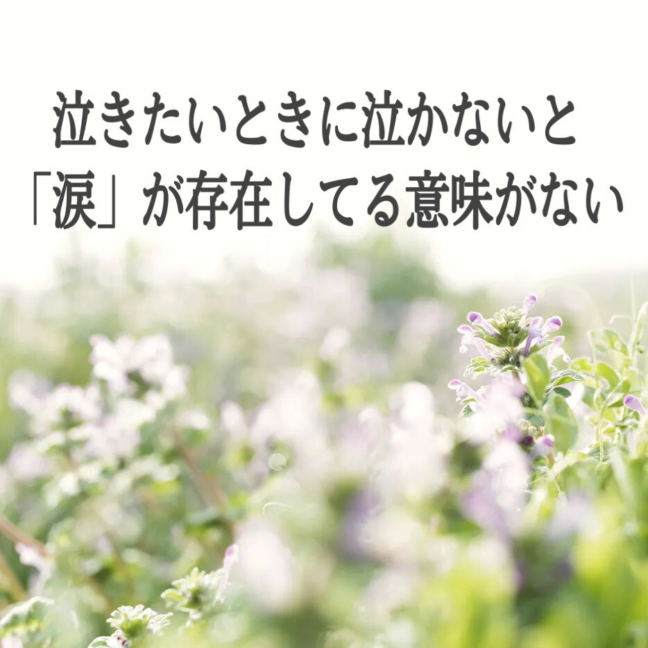 カサンドラ経験者のわたしが愚痴ききます 大人の発達障害の夫（妻）と分かり合えない…と苦しむあなたへ イメージ2