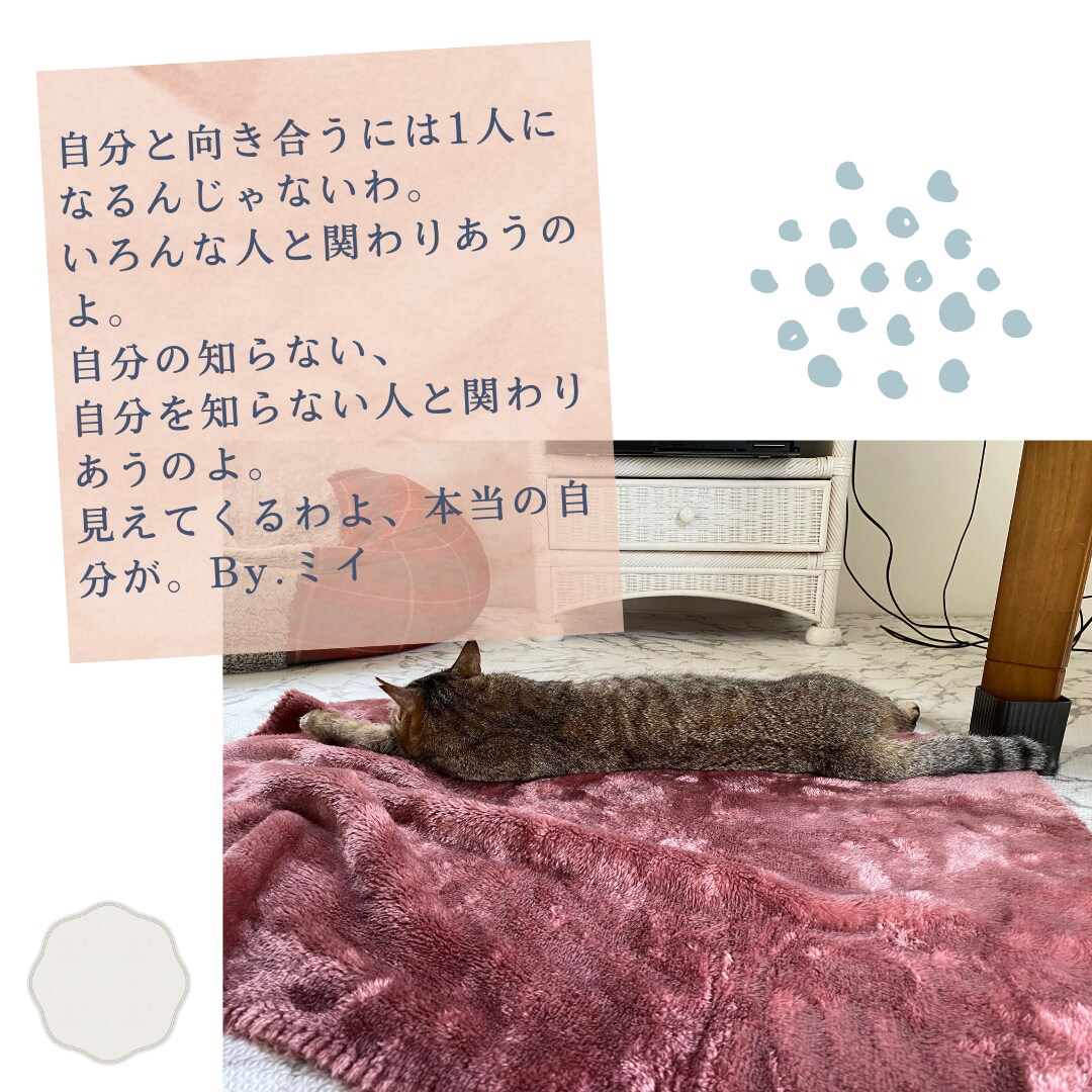 元保育士、小学校教諭がまったりお話聞きます 電話を切った後少しでもあなたの心のモヤモヤが晴れますように♪ イメージ4