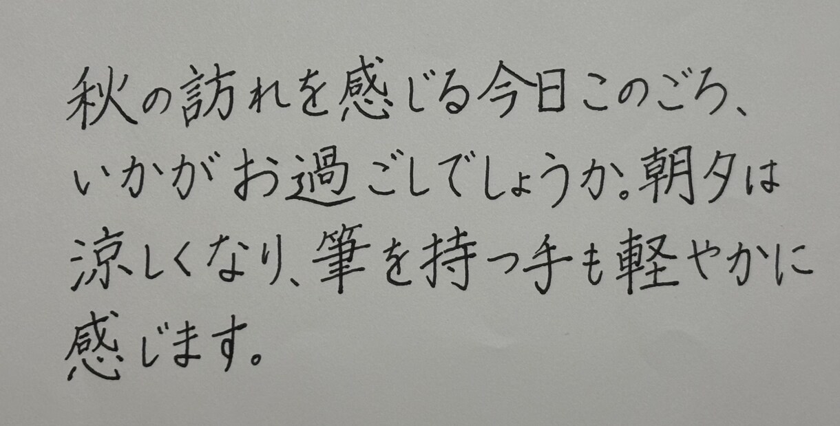 単発･美文字になるためのペン習字レッスンします 書道歴20年のスキルをリアルタイムでお届け！添削いたします！ イメージ2