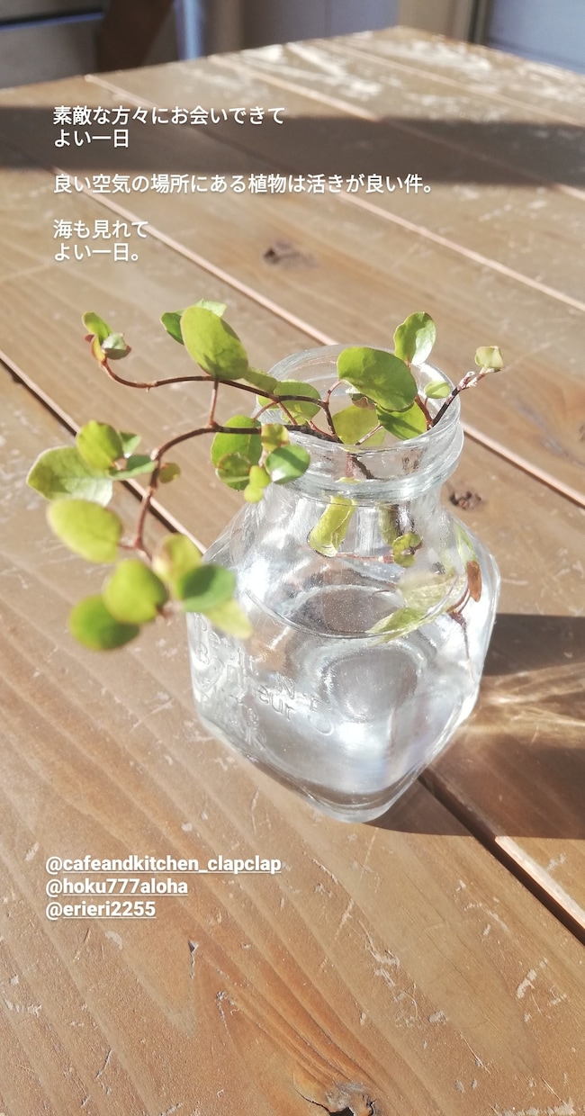 心が苦しい…生きづらい方へ、ご相談にのります ★心からのカウンセリングをいたします★ イメージ1