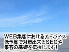WEB集客でつまずいている方アドバイスします 専門業者に相談する前に安価で相談出来ます。 イメージ1