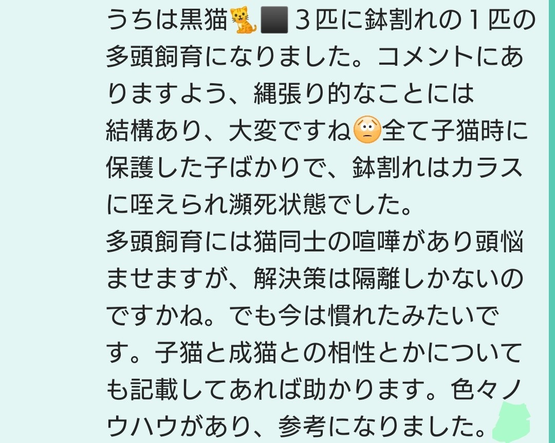 子犬・子猫と笑顔で暮らせる秘訣がわかります 奇跡の確率で出会ったわんにゃんとハッピーライフを送りましょう イメージ9