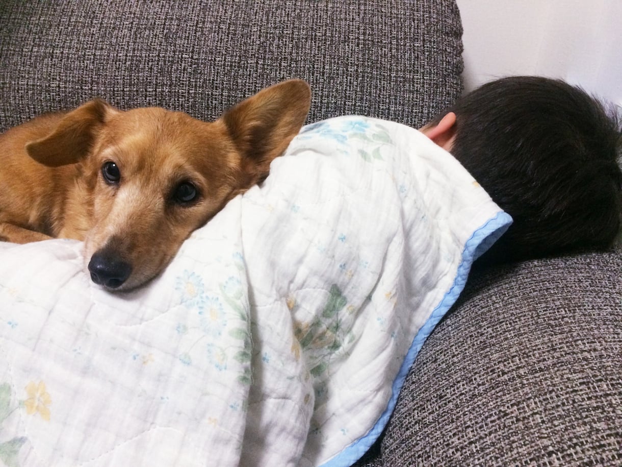 繊細さん（HSPさん）へ二週間寄り添います 悩み相談も、日頃のこともOK！ イメージ9
